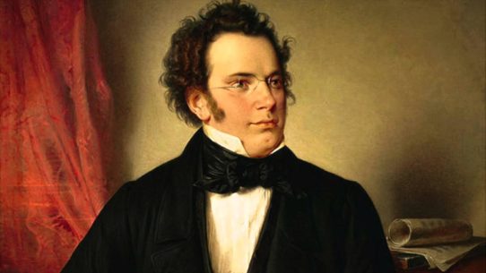 O óleo sobre tela colorido retrata, em primeiro plano, o compositor austríaco Franz Schubert. Ele tem pele clara, cabelos cheios e crespos castanhos, grandes costeletas, testa larga, nariz afilado e furo no queixo. Usa casaca preta sobre camisa de gola alta branca com gravata de laço preta. De óculos de aro metálico fino, ele está ligeiramente de perfil, olhando para direita. Ao fundo, à esquerda, uma cortina vermelha, e no canto direito, uma partitura enrolada sobre um móvel.
